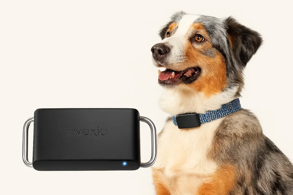 Invoxia Smart Pet Tracker Invoxia Smart Pet Tracker